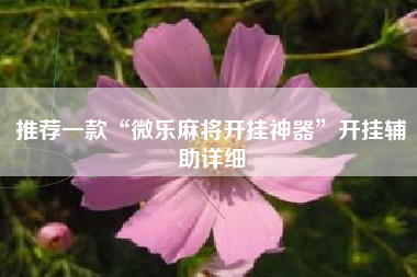推荐一款“微乐麻将开挂神器”开挂辅助详细