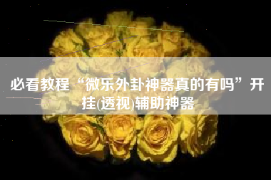 必看教程“微乐外卦神器真的有吗”开挂(透视)辅助神器