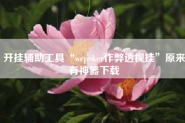 开挂辅助工具“wepoker作弊透视挂”原来有神器下载