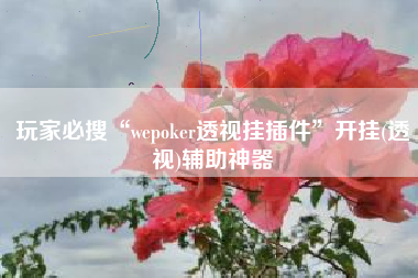 玩家必搜“wepoker透视挂插件”开挂(透视)辅助神器