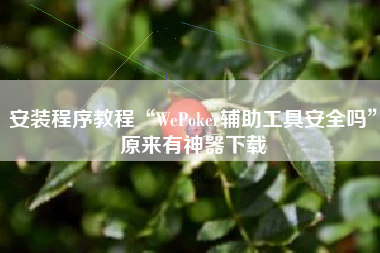 安装程序教程“WePoker辅助工具安全吗”原来有神器下载
