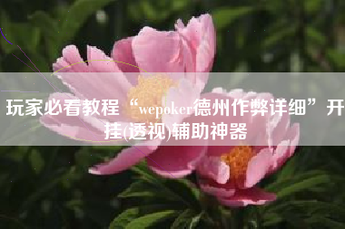 玩家必看教程“wepoker德州作弊详细”开挂(透视)辅助神器