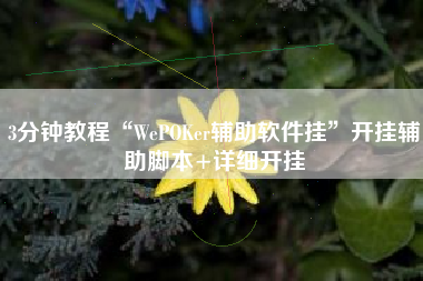 3分钟教程“WePOKer辅助软件挂	”开挂辅助脚本+详细开挂