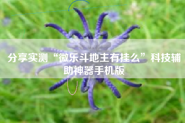 分享实测“微乐斗地主有挂么”科技辅助神器手机版