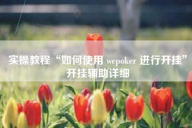 实操教程“如何使用 wepoker 进行开挂”开挂辅助详细