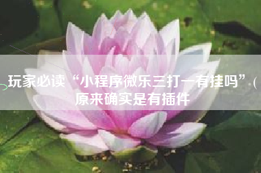 玩家必读“小程序微乐三打一有挂吗”(原来确实是有插件