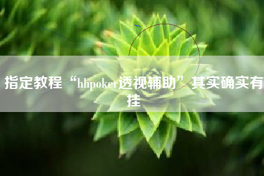 指定教程“hhpoker透视辅助”其实确实有挂