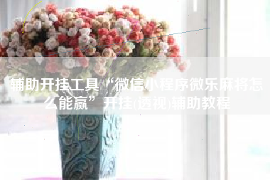 辅助开挂工具“微信小程序微乐麻将怎么能赢”开挂(透视)辅助教程