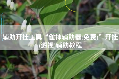 辅助开挂工具“雀神辅助器(免费)”开挂(透视)辅助教程