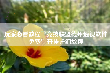 玩家必看教程“竞技联盟德州透视软件免费”开挂详细教程