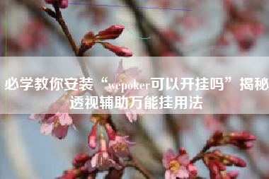 必学教你安装“wepoker可以开挂吗”揭秘透视辅助万能挂用法