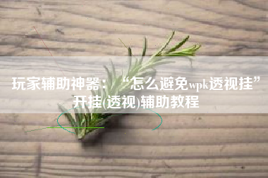 玩家辅助神器：“怎么避免wpk透视挂”开挂(透视)辅助教程