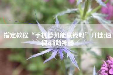 指定教程“手机德州能赢钱吗”开挂(透视)辅助神器