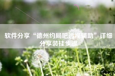 软件分享“德州约局吧透视辅助”详细分享装挂步骤