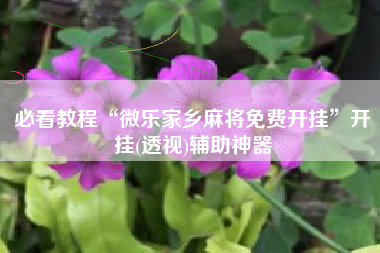 必看教程“微乐家乡麻将免费开挂”开挂(透视)辅助神器