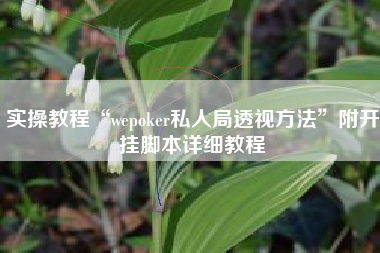 实操教程“wepoker私人局透视方法	”附开挂脚本详细教程