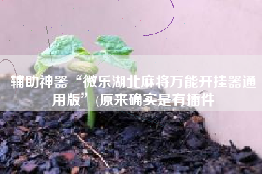 辅助神器“微乐湖北麻将万能开挂器通用版”(原来确实是有插件
