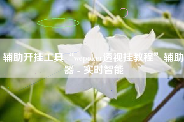 辅助开挂工具“wepoker透视挂教程	”辅助器 - 实时智能