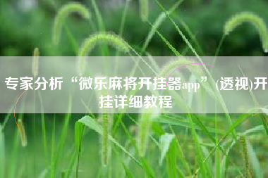 专家分析“微乐麻将开挂器app”(透视)开挂详细教程