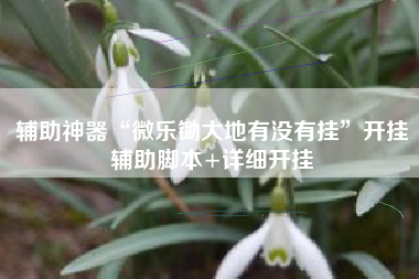 辅助神器“微乐锄大地有没有挂	”开挂辅助脚本+详细开挂