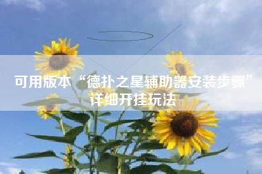 可用版本“德扑之星辅助器安装步骤”详细开挂玩法