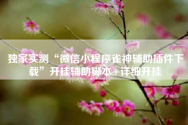 独家实测“微信小程序雀神辅助插件下载	”开挂辅助脚本+详细开挂