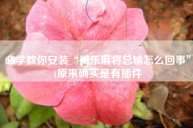 必学教你安装“微乐麻将总输怎么回事	”(原来确实是有插件