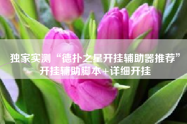 独家实测“德扑之星开挂辅助器推荐”开挂辅助脚本+详细开挂