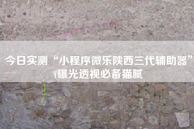 今日实测“小程序微乐陕西三代辅助器”(曝光透视必备猫腻