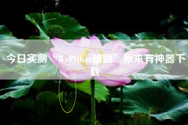 今日实测“WePOKer辅助	”原来有神器下载