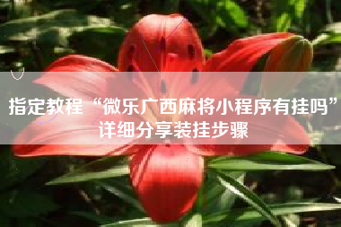 指定教程“微乐广西麻将小程序有挂吗”详细分享装挂步骤 指定教程“微乐广西麻将小程序有挂吗”详细分享装挂步骤