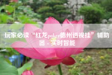 玩家必读“红龙poker德州透视挂”辅助器 - 实时智能