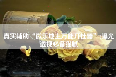 真实辅助“微乐地主万能开挂器”(曝光透视必备猫腻 真实辅助“微乐地主万能开挂器”(曝光透视必备猫腻