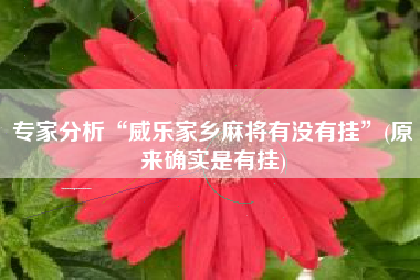 专家分析“威乐家乡麻将有没有挂”(原来确实是有挂)