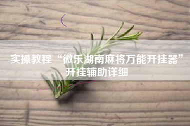 实操教程“微乐湖南麻将万能开挂器”开挂辅助详细