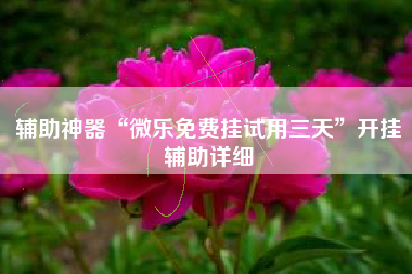 辅助神器“微乐免费挂试用三天”开挂辅助详细