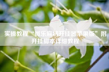 实操教程“微乐麻将开挂器苹果版	”附开挂脚本详细教程