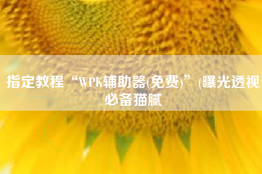 指定教程“WPK辅助器(免费)”(曝光透视必备猫腻 指定教程“WPK辅助器(免费)”(曝光透视必备猫腻