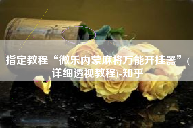 指定教程“微乐内蒙麻将万能开挂器”(详细透视教程)-知乎