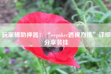 玩家辅助神器：“wepoker透视方法	”详细分享装挂