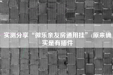 实测分享“微乐亲友房通用挂”(原来确实是有插件