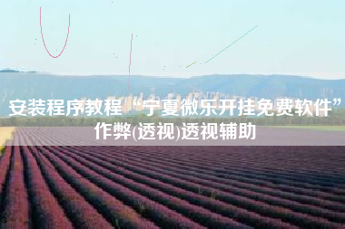 安装程序教程“宁夏微乐开挂免费软件”作弊(透视)透视辅助