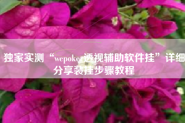 独家实测“wepoker透视辅助软件挂”详细分享装挂步骤教程