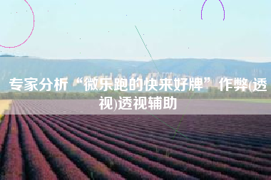 专家分析“微乐跑的快来好牌”作弊(透视)透视辅助