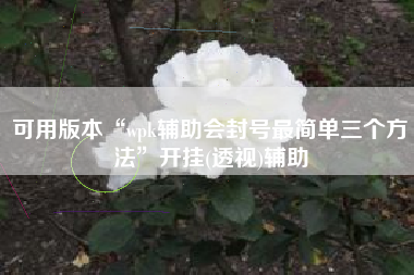 可用版本“wpk辅助会封号最简单三个方法	”开挂(透视)辅助