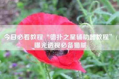 今日必看教程“德扑之星辅助器教程”(曝光透视必备猫腻