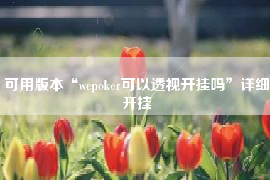 可用版本“wepoker可以透视开挂吗	”详细开挂