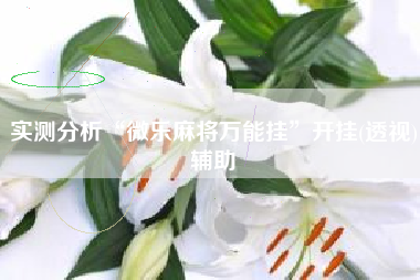 实测分析“微乐麻将万能挂	”开挂(透视)辅助