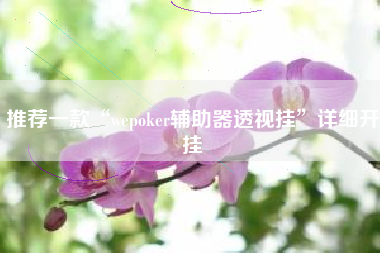 推荐一款“wepoker辅助器透视挂	”详细开挂