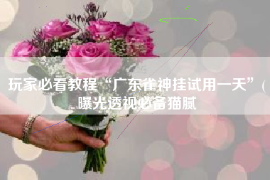 玩家必看教程“广东雀神挂试用一天	”(曝光透视必备猫腻